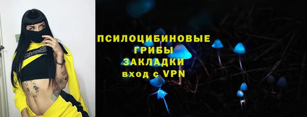 PSILOCYBIN Липки