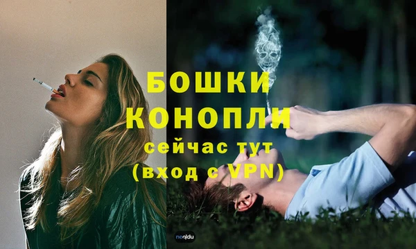 ECSTASY Магас