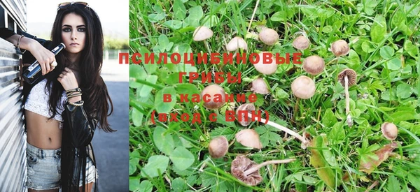 ECSTASY Магас