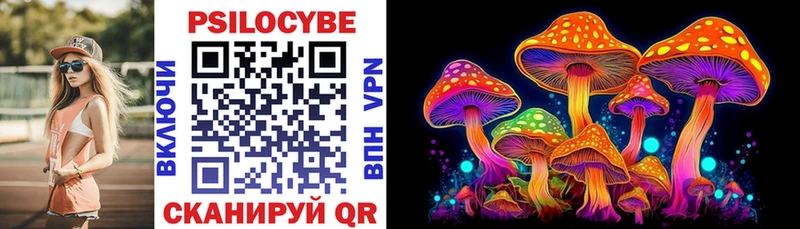 Псилоцибиновые грибы Magic Shrooms Чекалин